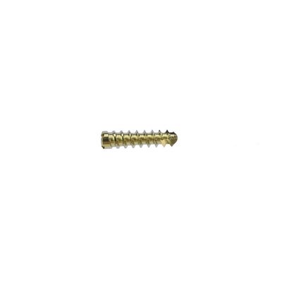 KNOCHEN-Schrauben-orthopädisches Chirurgie-Instrument des Edelstahl-Implantats-2.4mm Blockierungs